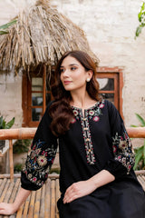 Dhanak-2pc Embroidered- 311