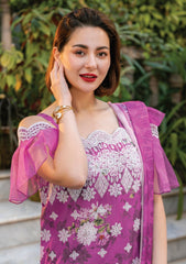 Banafsha-e-Khaddar 3PC ZC933