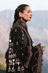 Rani-e-Bahaar - FS100