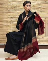 Dhanak Luxe 3PC Embroidered Suit with Woolen Shawl – ZC555