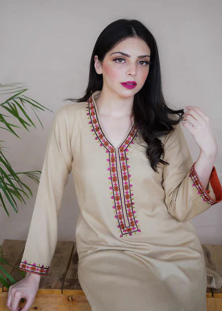 AISLING Dhanak 2PC Embroidered-164